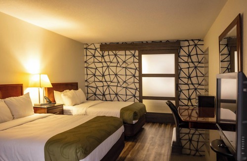 Lake Havasu City Hotel | Quality Inn & Suites Lake Havasu City