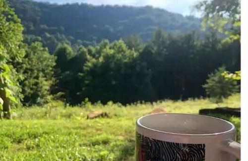 Sylva Cabin | Quiet Cabin: Perfect basecamp for exploring WNC!nn