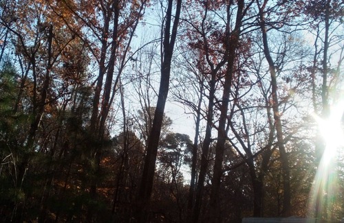 Wake Forest House | Quiet camper Wooded space Small creek Extra cruelty free & vegan avail Enjoy!