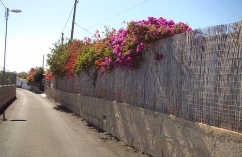 Granadilla de Abona Cottage | Quiet cottage in the middle of an orchard