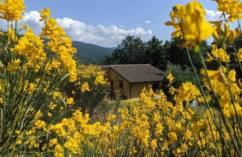 Dicomano Cottage | Quiet Country Villa Tuscany Hills 45 Minutes from Florence