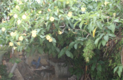 La Madeleine Apartment | Quiet, ecological, 500 m from the sea