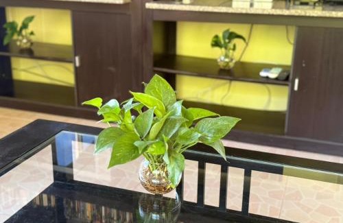 Krabi Apartment | Quiet house in Ao Nang, close to nature