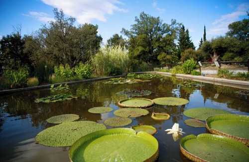 Pia Apartment | Quiet T2 apartment 3 minutes from shops - Near Perpignan & beaches