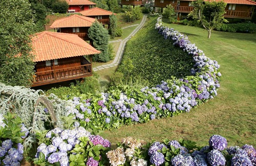 Santo da Serra House | Quinta das Eiras