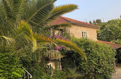 Vila Cha do Marao House | QUINTA DE RIBAS - Les Bougainvilliers charming house for families or groups
