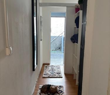 Saint-Philippe Apartment | Résidence L' ALAMANDA