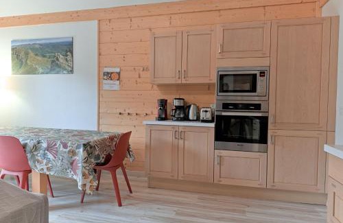 Laveissiere Apartment | Résidence récente au Lioran à proximité des remontées mécaniques