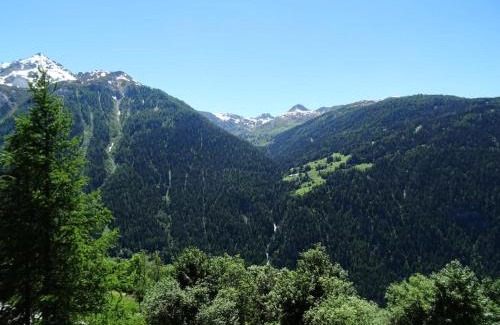 Plan Peisey Apartment | Résidence Rey - Plan Peisey - Appartement 2 pièces 6 personnes à Plan Peisey proche des commerces et des pistes MAE-1885