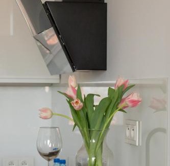 West Pomeranian Voivodeship Apartment | Raginisa Chic Apartment by BookingHost