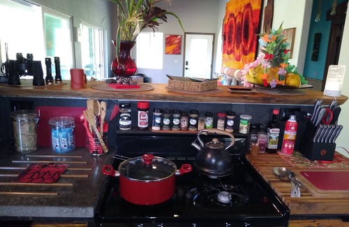 Fern Forest House | Rainforest Volcano Retreat – As Seen on TV! Near Volcanoes Nat’l Parkn