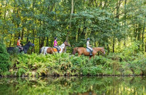 Marcinowice Bed & Breakfast | Rancho Ślężański Młyn