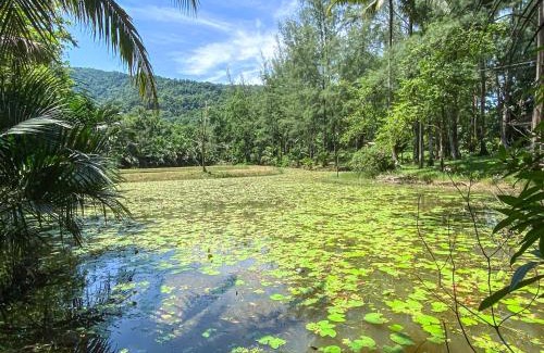 Kapoe Resort | Ranong Resort and Laguna