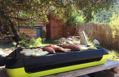 Ile du Levant House | RC d'un Cabanon écologique ile du levant Naturiste