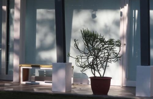 Puli Bed & Breakfast | Read to Sleep Book & Bed