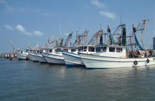 Fulton House | Reel Happy Rockport
