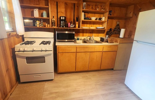 Coalmont Cabin | Reel Simple LAKEFRONT Cabin Close to Hiking Trails, The Caverns and OHV Park!