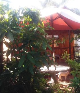 Polokwane Bed & Breakfast | Reggies bed & breakfast