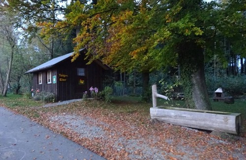 Hauptwil-Gottshaus Apartment | Rehalp West