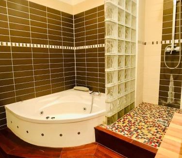 Reims City Centre Apartment | Reims CATHEDRALE JACUZZI LUXURIOUS PROPERTY