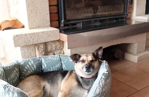 Saint-Desir Bed & Breakfast | Relais équestre du Miloir - chambres d'hôtes