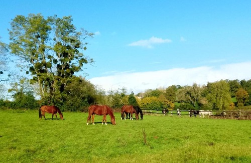 Saint-Desir Bed & Breakfast | Relais équestre du Miloir - chambres d'hôtes