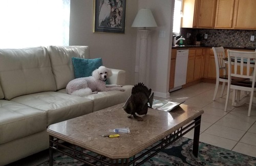 Fernandina Beach House | Relax, make memories and enjoy a great holiday on the beach!