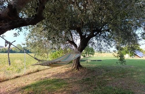Misano Adriatico Villa | Relax nel verde a 5 minuti dal mare in appartamento dentro villa con giardino