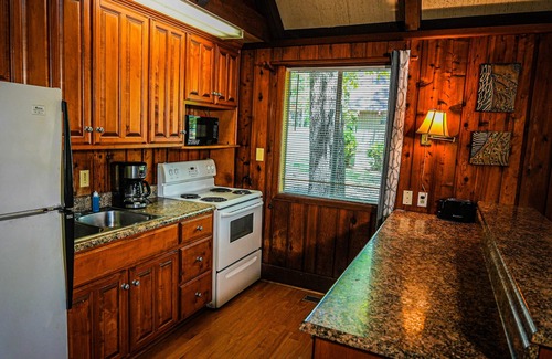Pine Mountain Ski Chalet | Relax with your fur baby in this spacious chalet near Callaway Gardens