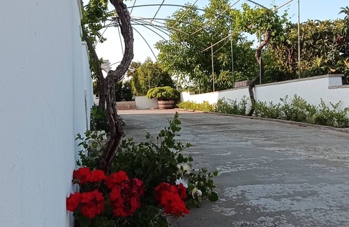 Presicce Apartment | Relaxation and nature a stone's throw from the sea.Holiday home in the countryside of Presicce