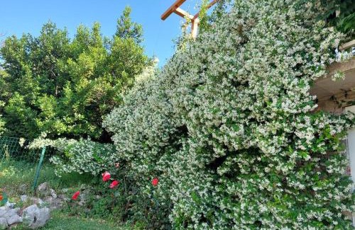 Mocici House | RELAXING Apartments LUCE