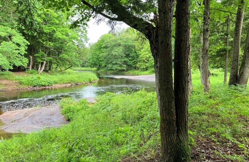 Glenfield Cabin | Relaxing River Retreat