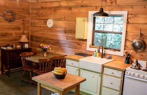Clayton Cabin | Remote cabin with creek and waterfall views 10 min from town