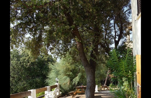 Centuri Apartment | RESIDENCE ANNA AZUR - One Bedroom Apartment, Sleeps 4