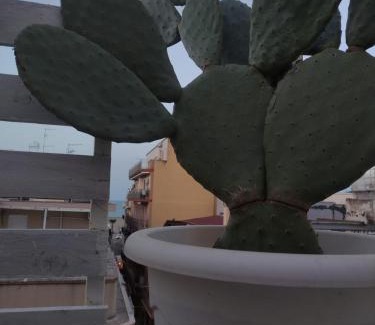 Margherita di Savoia House | Residence Pugliamare