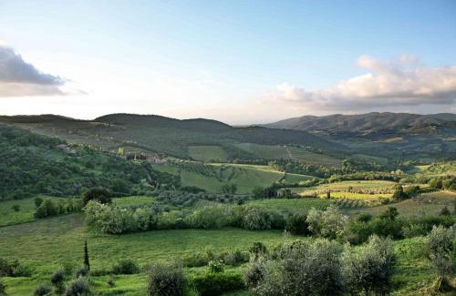 Panzano in Chianti House | Residenza Antico Chianti