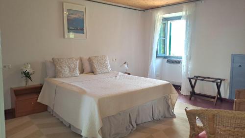 Piazza Apartment | Residenza Le Camelie