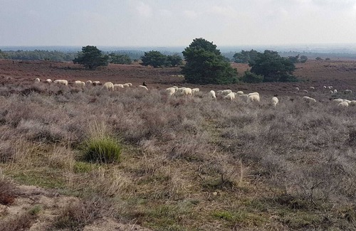 Lemele House | Restful Holiday Home in Lemele with a Spacious Garden