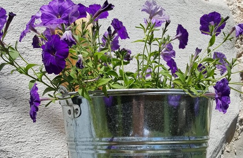 Lupoglav Apartment | Restored stone house in an Istrian mountain village