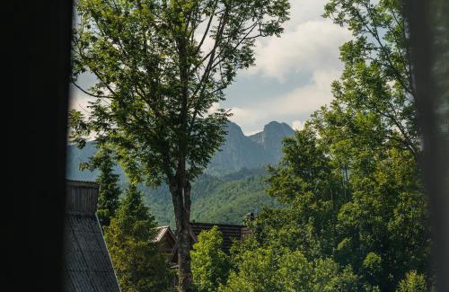 Zakopane Resort | Rewita Zakopane