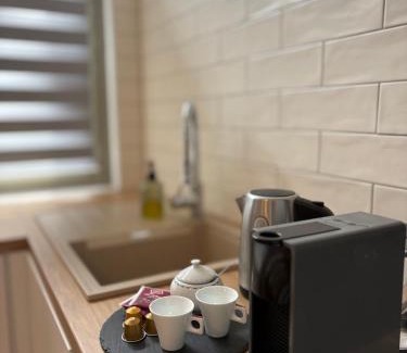 Pisek Apartment | Rezidence U Kamenného mostu