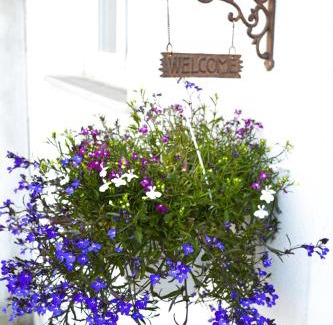 Cicerale Apartment | Rigoletto Cilento with private garden and pool