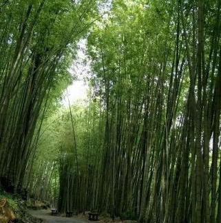 Rueili Village House | Riley Ming Xuan B&B