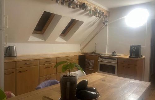 Lauchhammer Apartment | Rim Ferienwohnung in Lauchhammer Dachgeschoss 100 qm