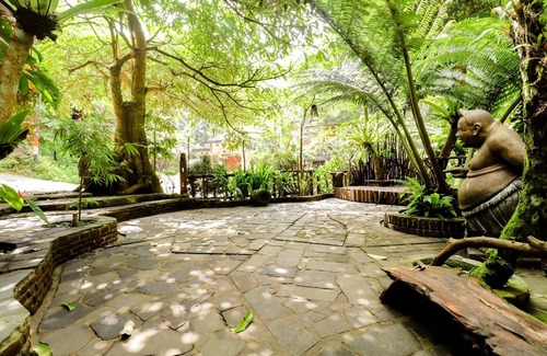 Kalirejo House | Rimbono Homestay