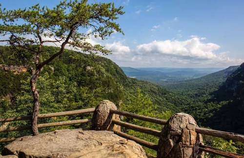 Menlo House | River Cabin | Fire Pit, Kayaks, Games, Dog Park