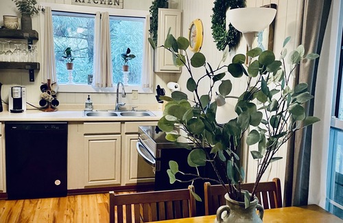 Bat Cave Cabin | RiverCottage minutes from Chimney Rock & Lake Lure - Hendersonville & Asheville