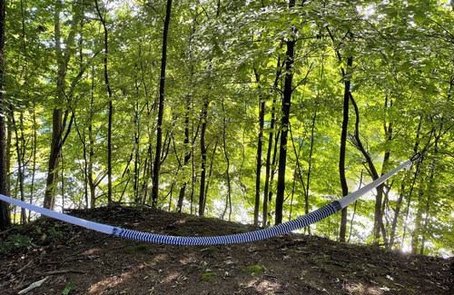 South Bend Cottage | Riverfront Respite - Riverfront, Charm, Quiet, Nature, Near ND