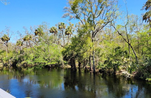 Steinhatchee Cabin | Riverfront! Snappin Turtle Cabin, Balcony-Floating dock-Fishing.
