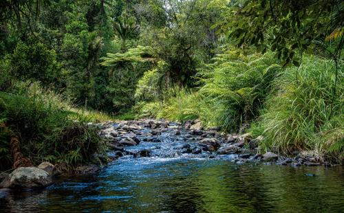 Waihi House | Riverstone Acres